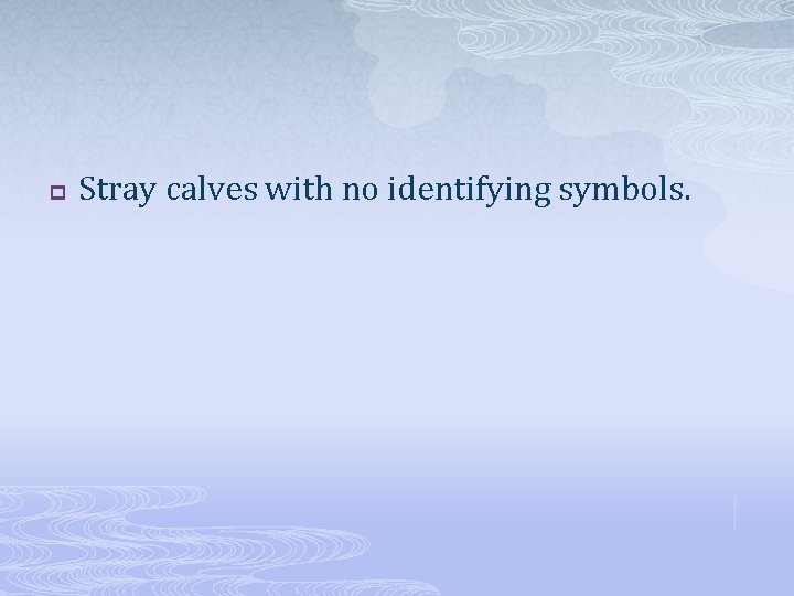 p Stray calves with no identifying symbols. 