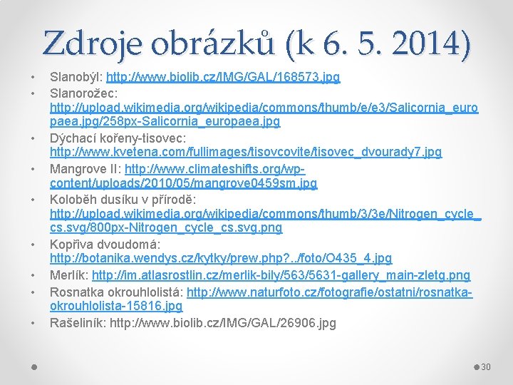 Zdroje obrázků (k 6. 5. 2014) • • • Slanobýl: http: //www. biolib. cz/IMG/GAL/168573.