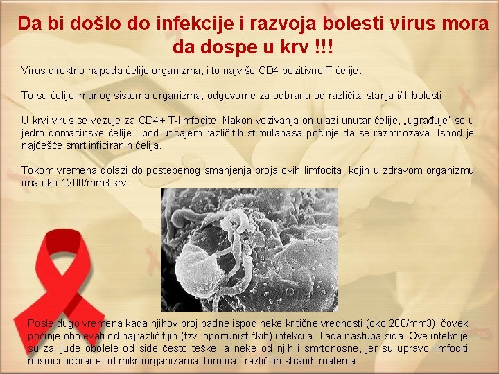 Da bi došlo do infekcije i razvoja bolesti virus mora da dospe u krv