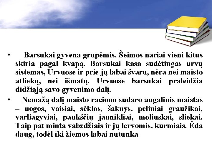  • Barsukai gyvena grupėmis. Šeimos nariai vieni kitus skiria pagal kvapą. Barsukai kasa