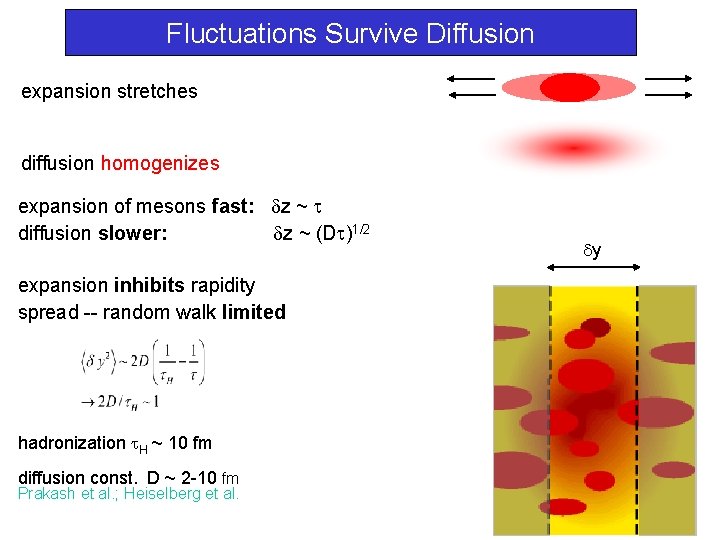 Fluctuations Survive Diffusion expansion stretches diffusion homogenizes expansion of mesons fast: z ~ diffusion