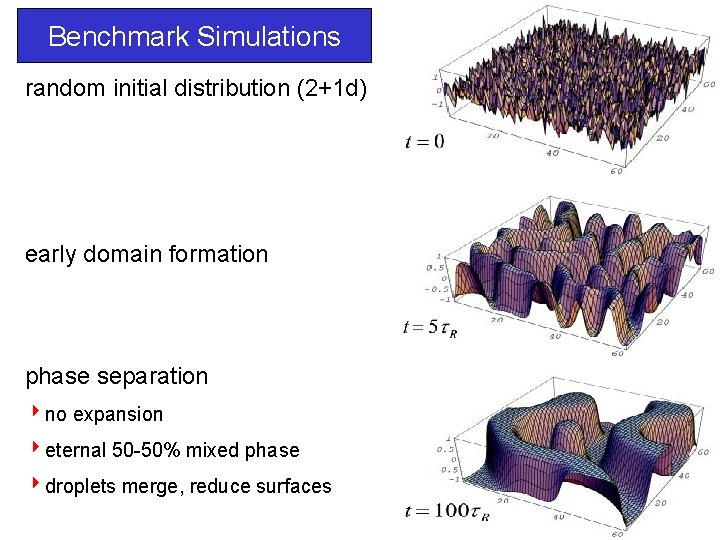 Benchmark Simulations random initial distribution (2+1 d) early domain formation phase separation 4 no