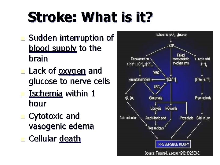 Stroke: What is it? n n n Sudden interruption of blood supply to the