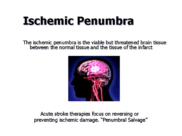 Ischemic Penumbra The ischemic penumbra is the viable but threatened brain tissue between the