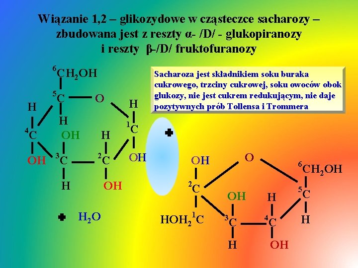 Wiązanie 1, 2 – glikozydowe w cząsteczce sacharozy – zbudowana jest z reszty α-