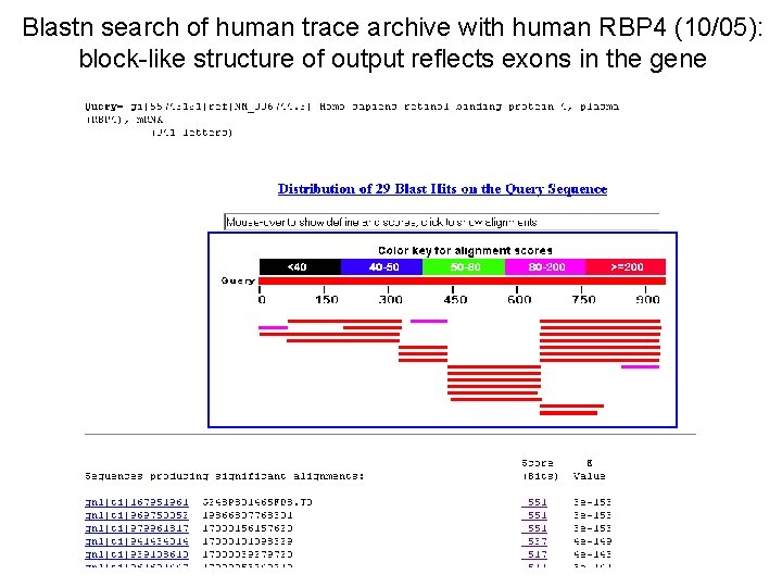 Blastn search of human trace archive with human RBP 4 (10/05): block-like structure of