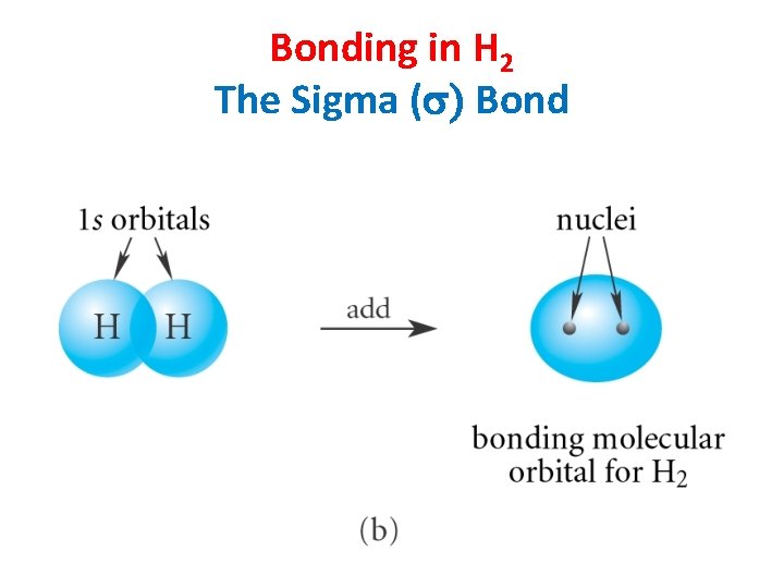 Bonding in H 2 The Sigma (s) Bond 