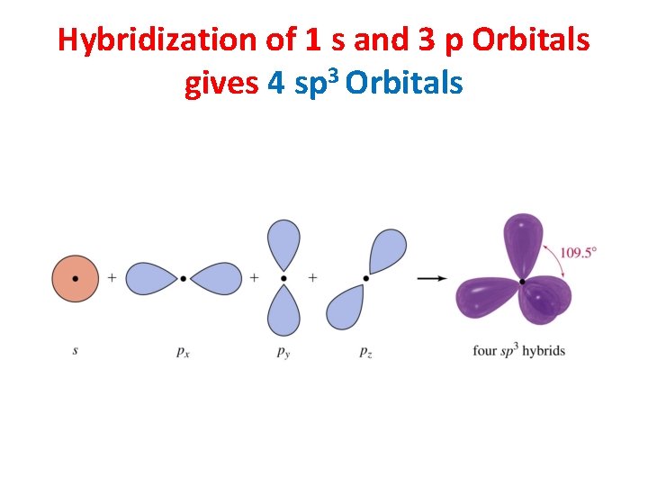Hybridization of 1 s and 3 p Orbitals gives 4 sp 3 Orbitals 