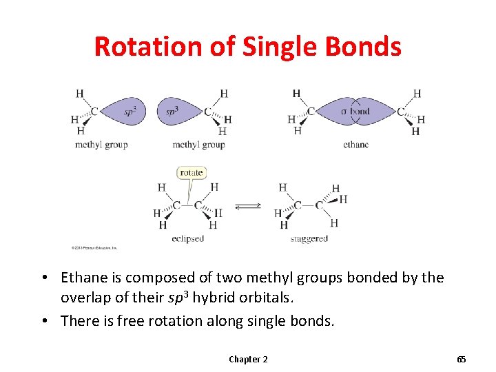 Rotation of Single Bonds • Ethane is composed of two methyl groups bonded by