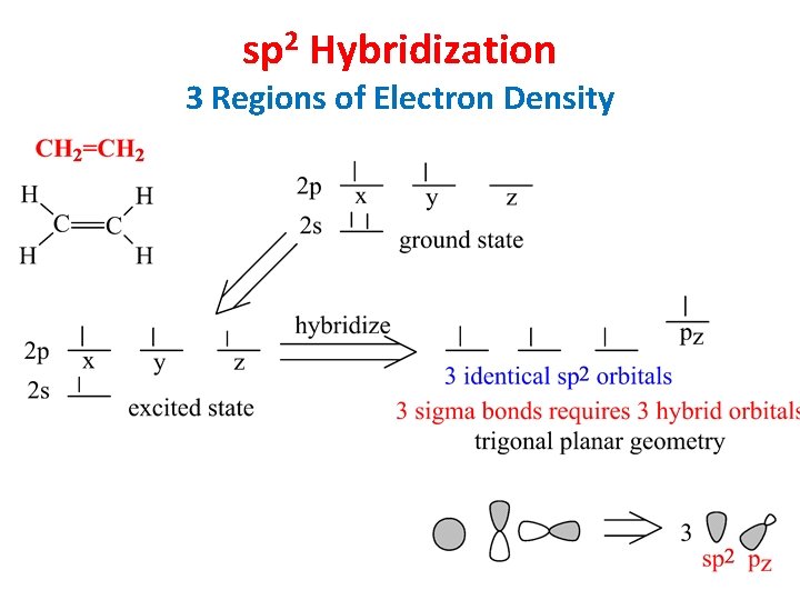 sp 2 Hybridization 3 Regions of Electron Density 