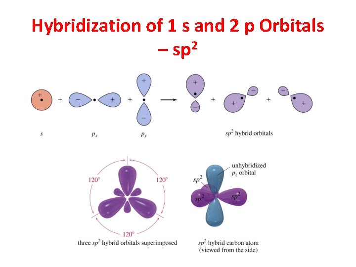 Hybridization of 1 s and 2 p Orbitals – sp 2 