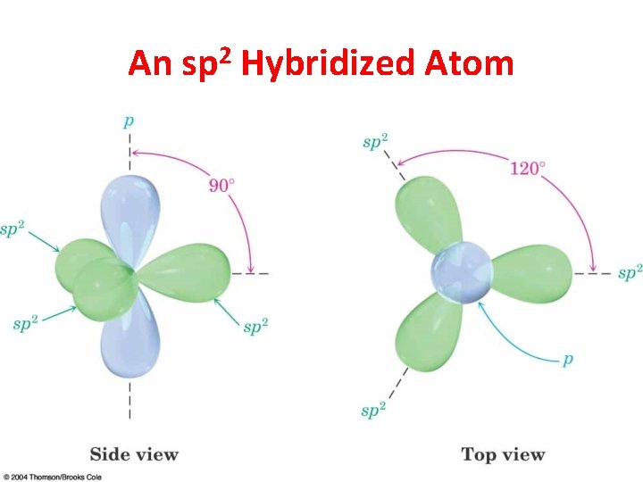 An sp 2 Hybridized Atom 