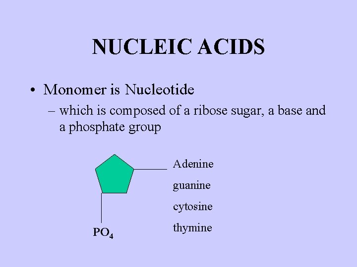 NUCLEIC ACIDS • Monomer is Nucleotide – which is composed of a ribose sugar,
