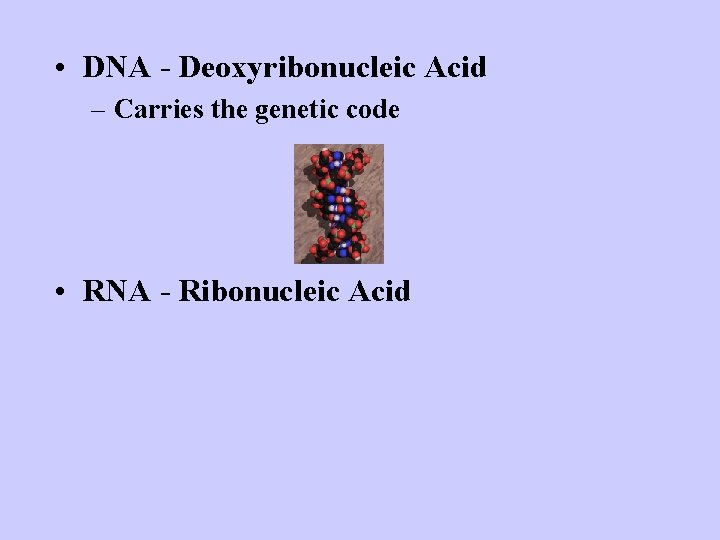  • DNA - Deoxyribonucleic Acid – Carries the genetic code • RNA -