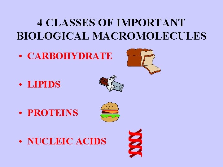 4 CLASSES OF IMPORTANT BIOLOGICAL MACROMOLECULES • CARBOHYDRATE • LIPIDS • PROTEINS • NUCLEIC