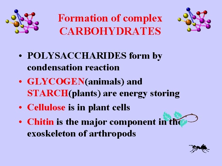 Formation of complex CARBOHYDRATES • POLYSACCHARIDES form by condensation reaction • GLYCOGEN(animals) and STARCH(plants)