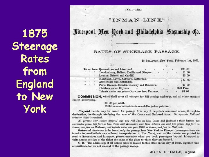 1875 Steerage Rates from England to New York 