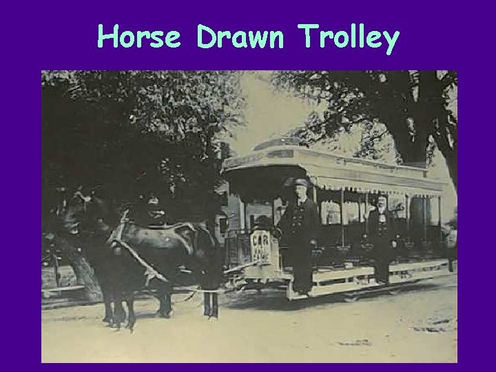 Horse Drawn Trolley 