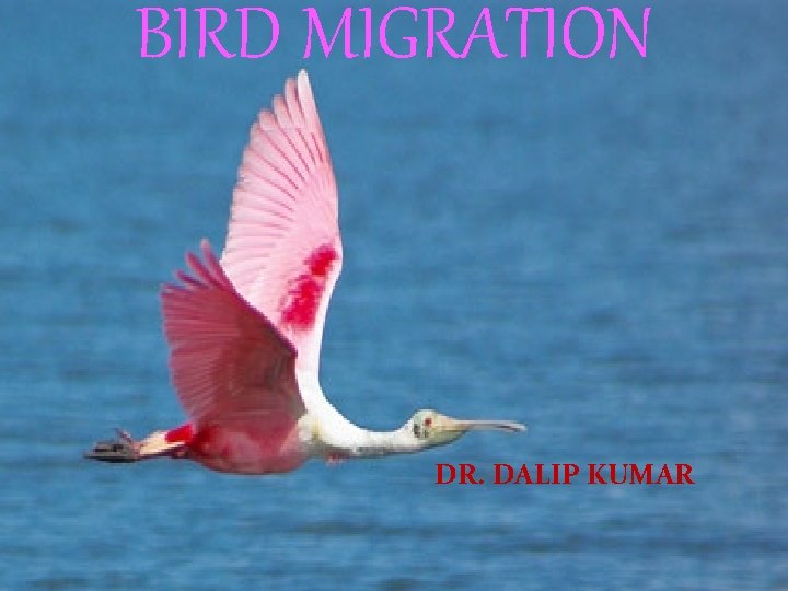 BIRD MIGRATION DR. DALIP KUMAR 