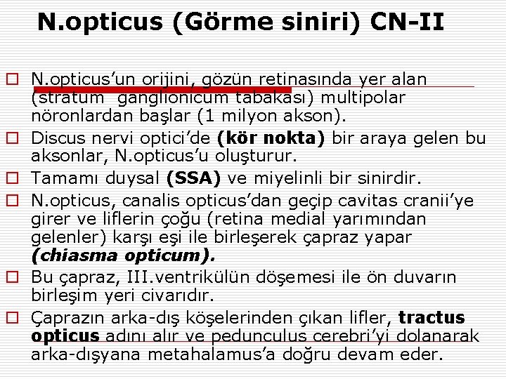 N. opticus (Görme siniri) CN-II o N. opticus’un orijini, gözün retinasında yer alan (stratum