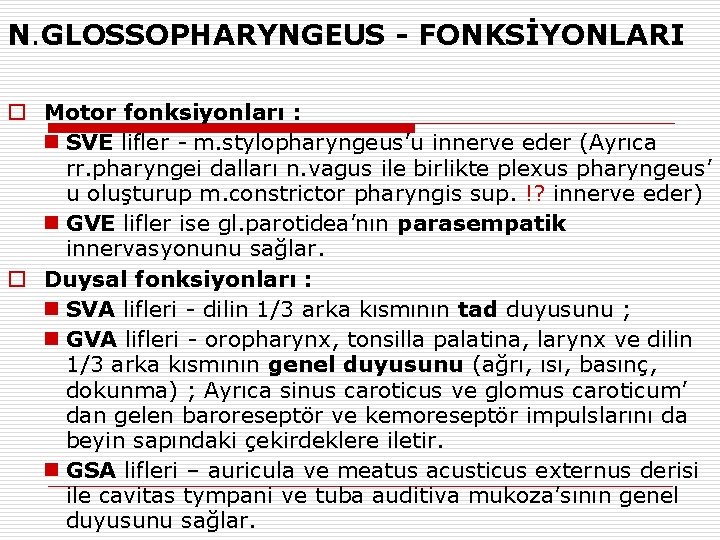 N. GLOSSOPHARYNGEUS - FONKSİYONLARI o Motor fonksiyonları : n SVE lifler - m. stylopharyngeus’u