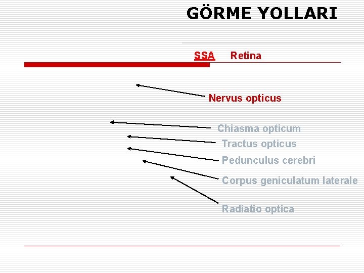 GÖRME YOLLARI SSA Retina Nervus opticus Chiasma opticum Tractus opticus Pedunculus cerebri Corpus geniculatum