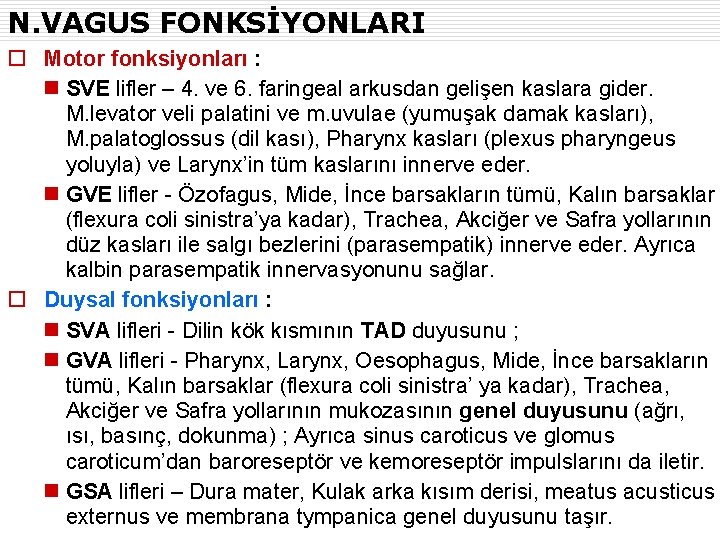 N. VAGUS FONKSİYONLARI o Motor fonksiyonları : n SVE lifler – 4. ve 6.
