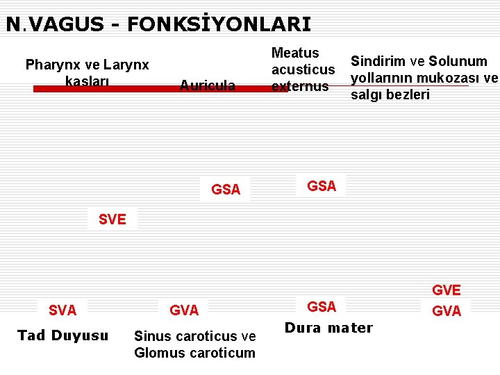N. VAGUS - FONKSİYONLARI Pharynx ve Larynx kasları Auricula GSA Meatus acusticus externus Sindirim