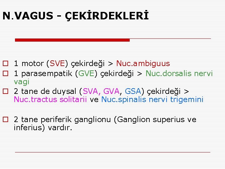 N. VAGUS - ÇEKİRDEKLERİ o 1 motor (SVE) çekirdeği > Nuc. ambiguus o 1