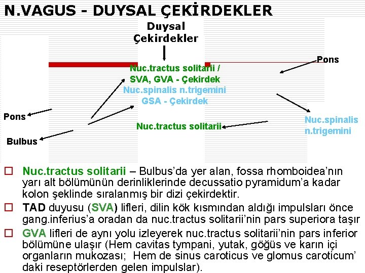 N. VAGUS - DUYSAL ÇEKİRDEKLER Duysal Çekirdekler Nuc. tractus solitarii / SVA, GVA -