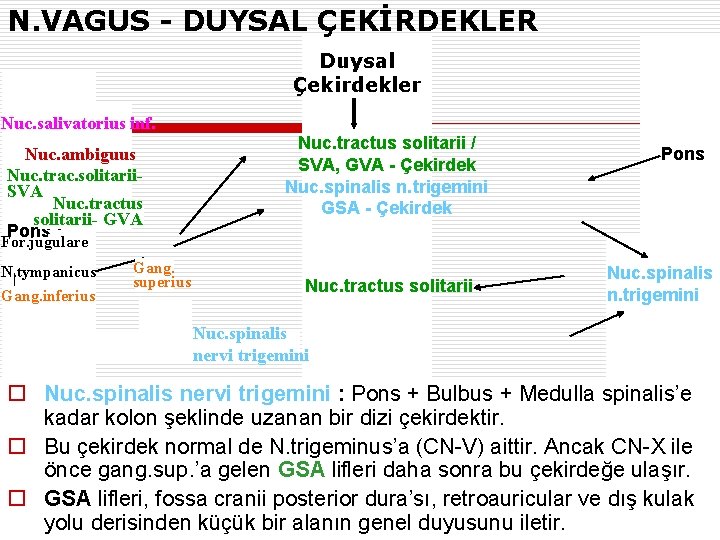 N. VAGUS - DUYSAL ÇEKİRDEKLER Duysal Çekirdekler Nuc. salivatorius inf. Nuc. ambiguus Nuc. trac.