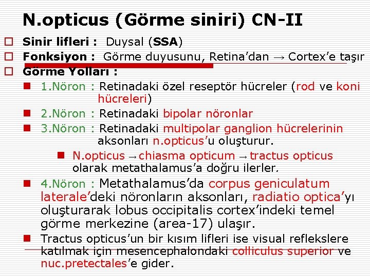 N. opticus (Görme siniri) CN-II o Sinir lifleri : Duysal (SSA) o Fonksiyon :