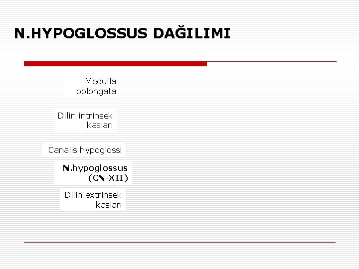 N. HYPOGLOSSUS DAĞILIMI Medulla oblongata Dilin intrinsek kasları Canalis hypoglossi N. hypoglossus (CN-XII) Dilin