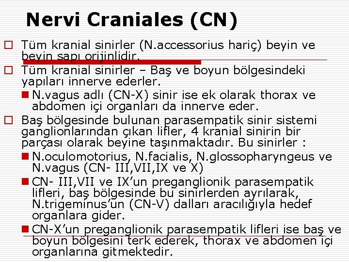 Nervi Craniales (CN) o Tüm kranial sinirler (N. accessorius hariç) beyin ve beyin sapı