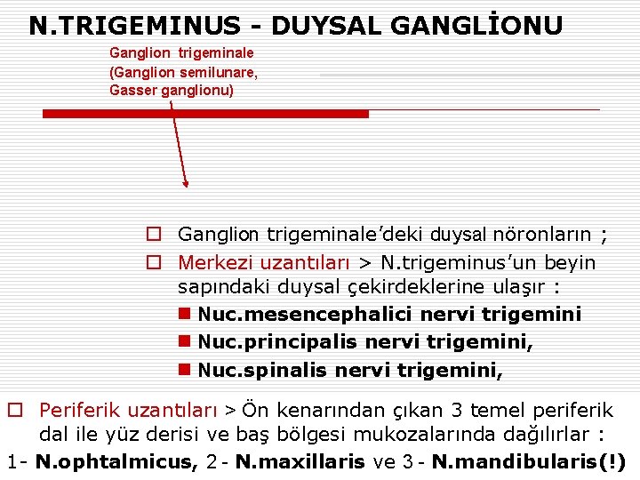 N. TRIGEMINUS - DUYSAL GANGLİONU Ganglion trigeminale (Ganglion semilunare, Gasser ganglionu) o Ganglion trigeminale’deki