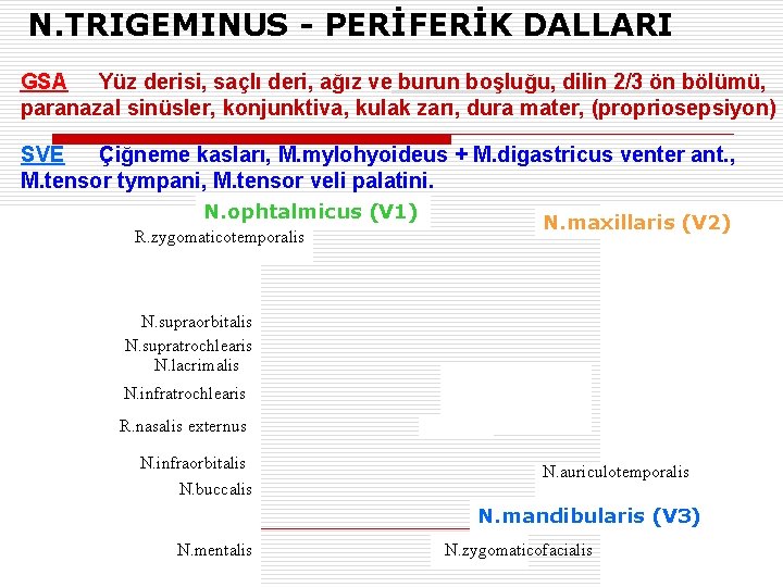 N. TRIGEMINUS - PERİFERİK DALLARI GSA Yüz derisi, saçlı deri, ağız ve burun boşluğu,