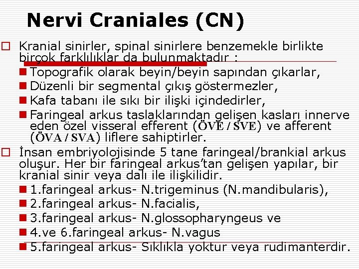 Nervi Craniales (CN) o Kranial sinirler, spinal sinirlere benzemekle birlikte birçok farklılıklar da bulunmaktadır