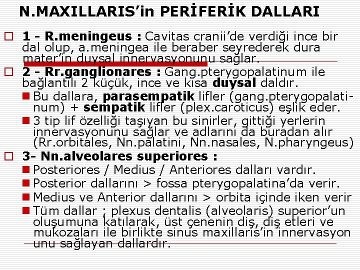 N. MAXILLARIS’in PERİFERİK DALLARI o 1 - R. meningeus : Cavitas cranii’de verdiği ince