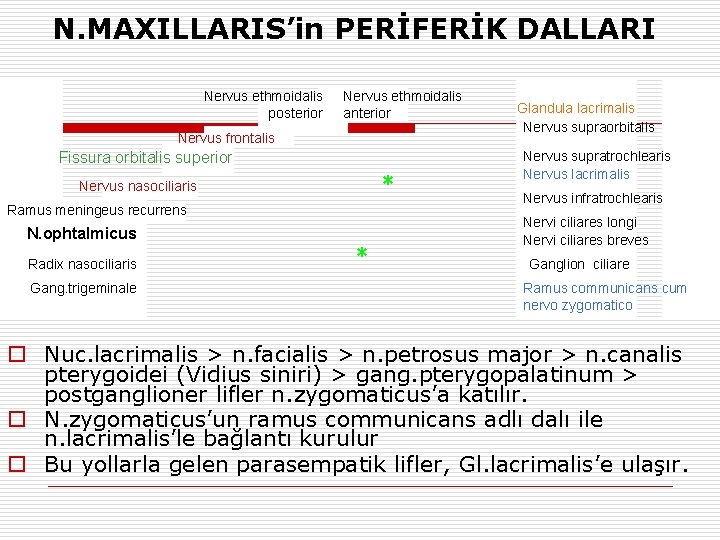 N. MAXILLARIS’in PERİFERİK DALLARI Nervus ethmoidalis posterior Nervus ethmoidalis anterior Nervus frontalis Fissura orbitalis