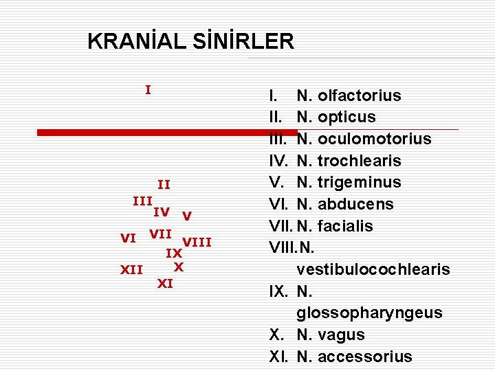 KRANİAL SİNİRLER I II III VI XII IV VIII IX X XI I. N.