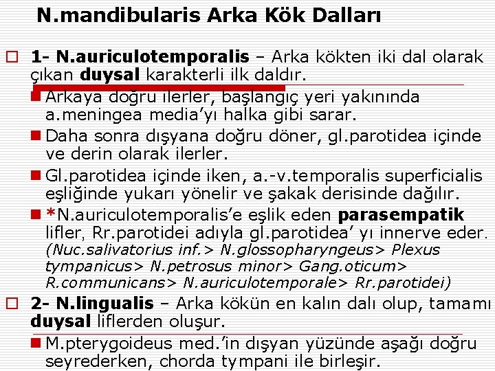 N. mandibularis Arka Kök Dalları o 1 - N. auriculotemporalis – Arka kökten iki