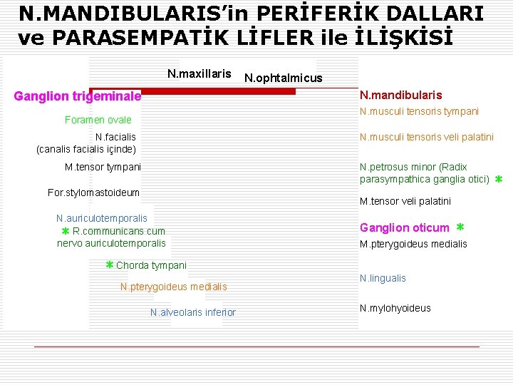 N. MANDIBULARIS’in PERİFERİK DALLARI ve PARASEMPATİK LİFLER ile İLİŞKİSİ N. maxillaris N. ophtalmicus N.