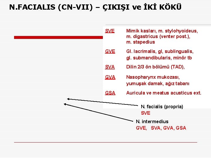 N. FACIALIS (CN-VII) – ÇIKIŞI ve İKİ KÖKÜ SVE Mimik kasları, m. stylohyoideus, m.