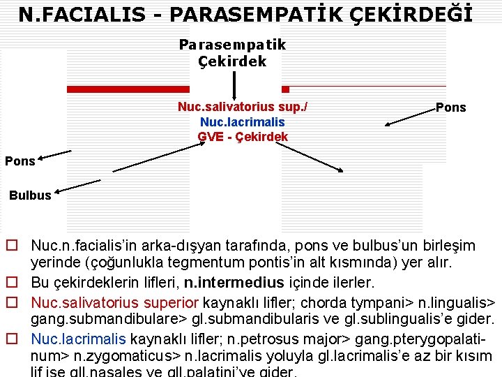 N. FACIALIS - PARASEMPATİK ÇEKİRDEĞİ Parasempatik Çekirdek Nuc. salivatorius sup. / Nuc. lacrimalis GVE