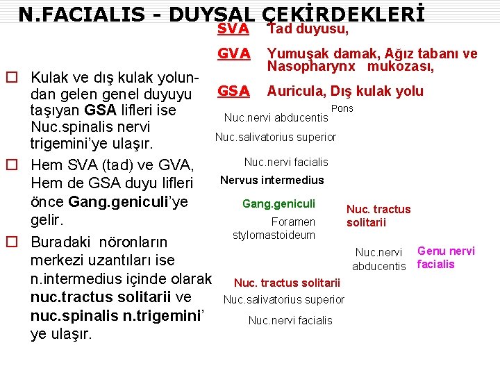 N. FACIALIS - DUYSAL ÇEKİRDEKLERİ SVA Tad duyusu, GVA Yumuşak damak, Ağız tabanı ve