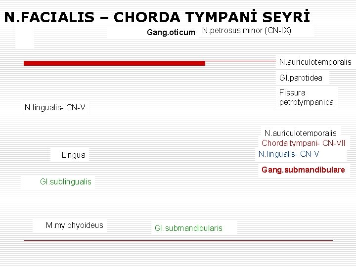 N. FACIALIS – CHORDA TYMPANİ SEYRİ Gang. oticum N. petrosus minor (CN-IX) N. auriculotemporalis