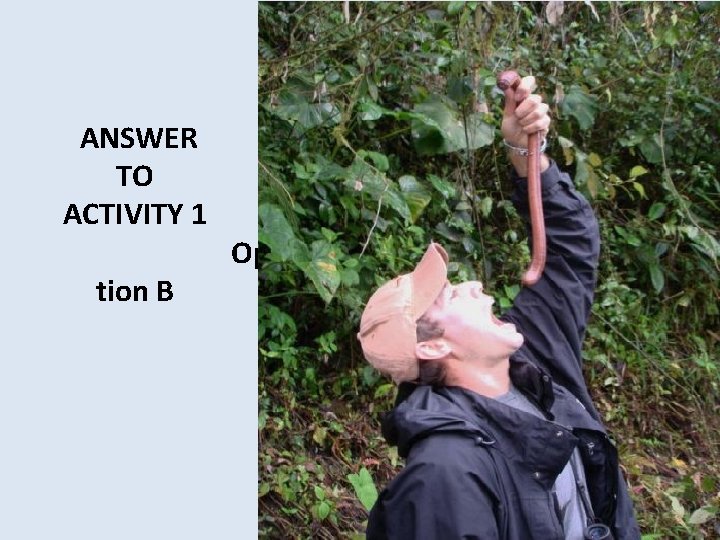  ANSWER TO ACTIVITY 1 Op tion B 