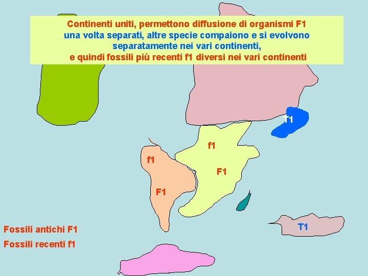 Continenti uniti, permettono diffusione di organismi F 1 una volta separati, altre specie compaiono