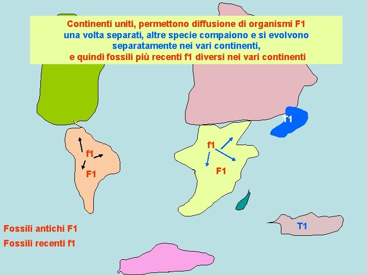 Continenti uniti, permettono diffusione di organismi F 1 una volta separati, altre specie compaiono