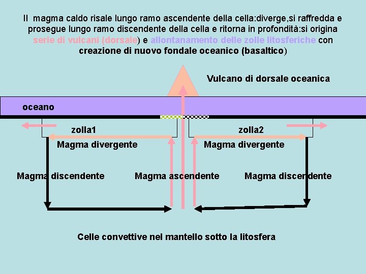 Il magma caldo risale lungo ramo ascendente della cella: diverge, si raffredda e prosegue